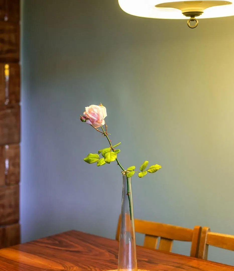 Charming And Stylish Apartment Krakow 0*,